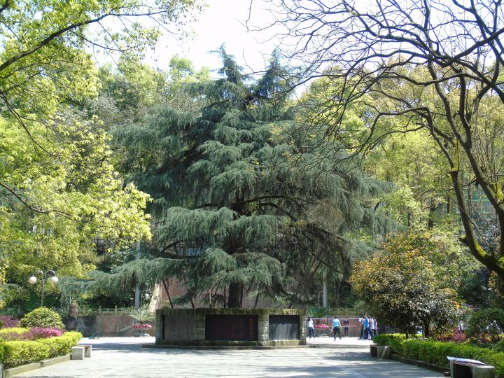 重庆哪所学校环境最好,重庆环境最差的学校