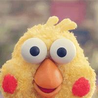 官宣和公布有什么区别,官宣真的很隆重吗