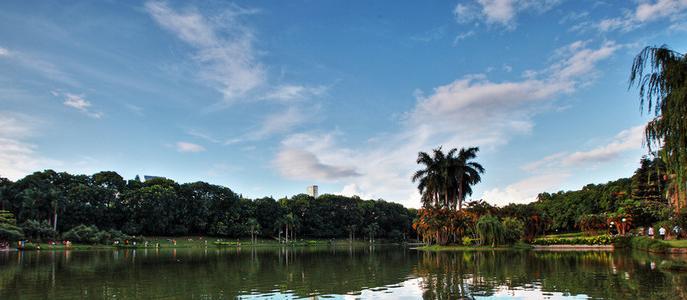 深圳大学2020年录取分数线及排名,深圳大学最近三年录取分数线