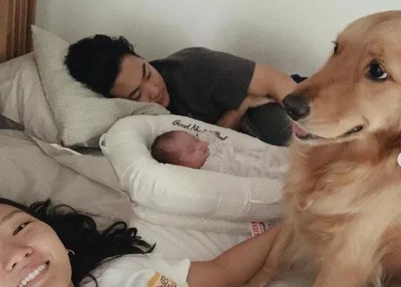 怀孕了，就把狗扔了吧，多脏啊