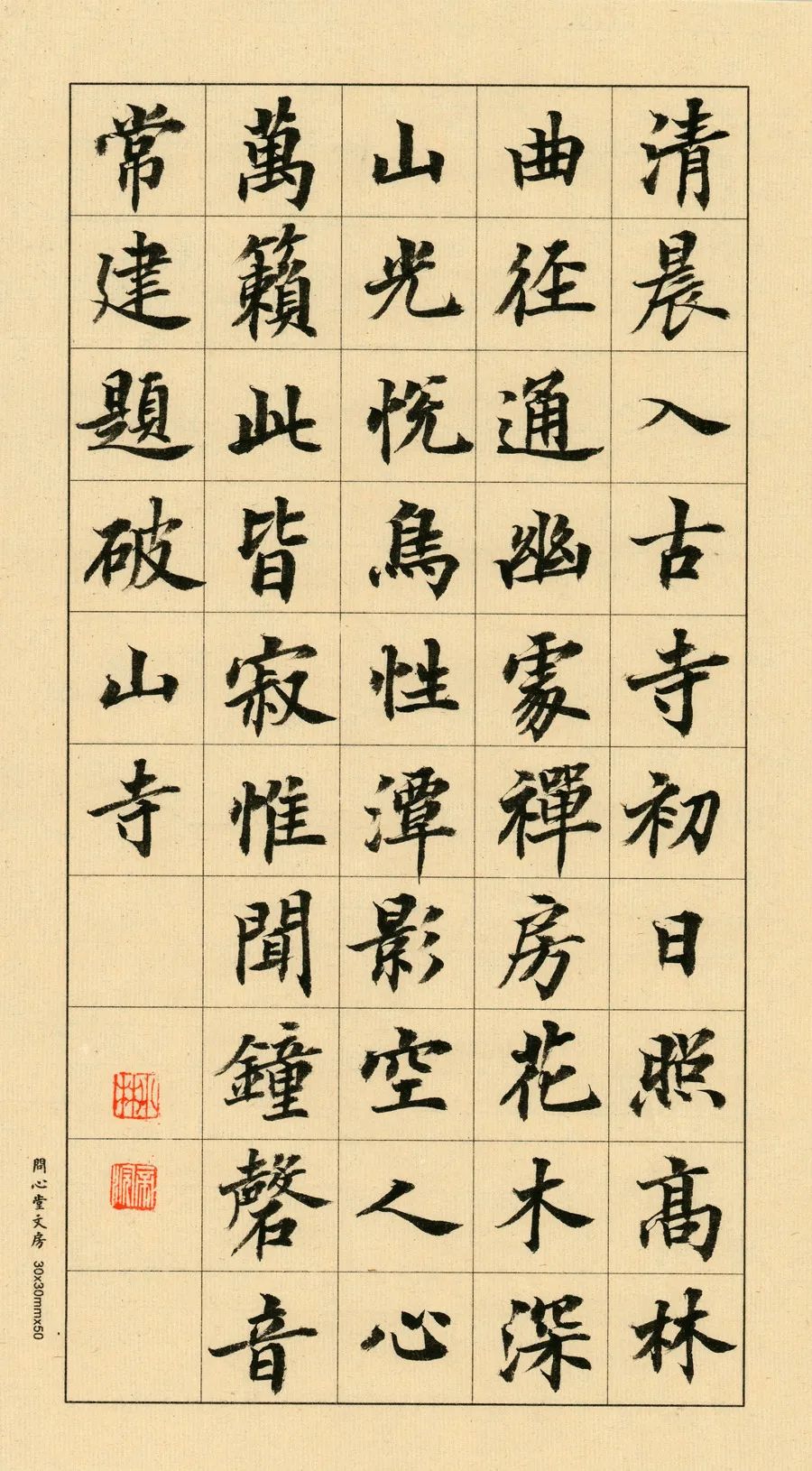 放学回家作文,走在放学回家的路上作文