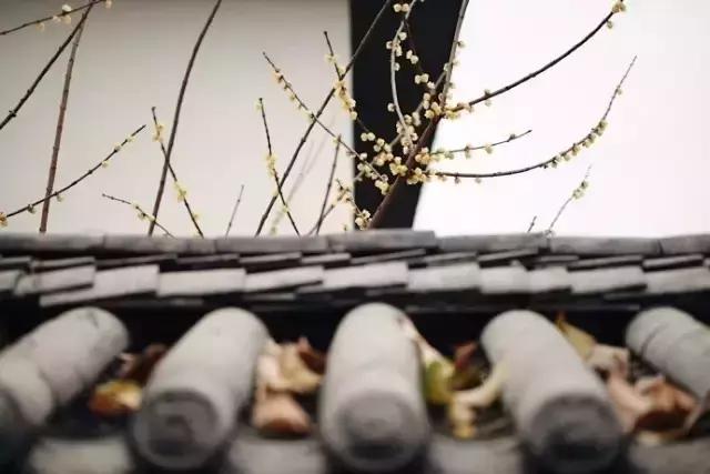 90后小伙花100万造房子,90后小伙花几千元装修500个平方