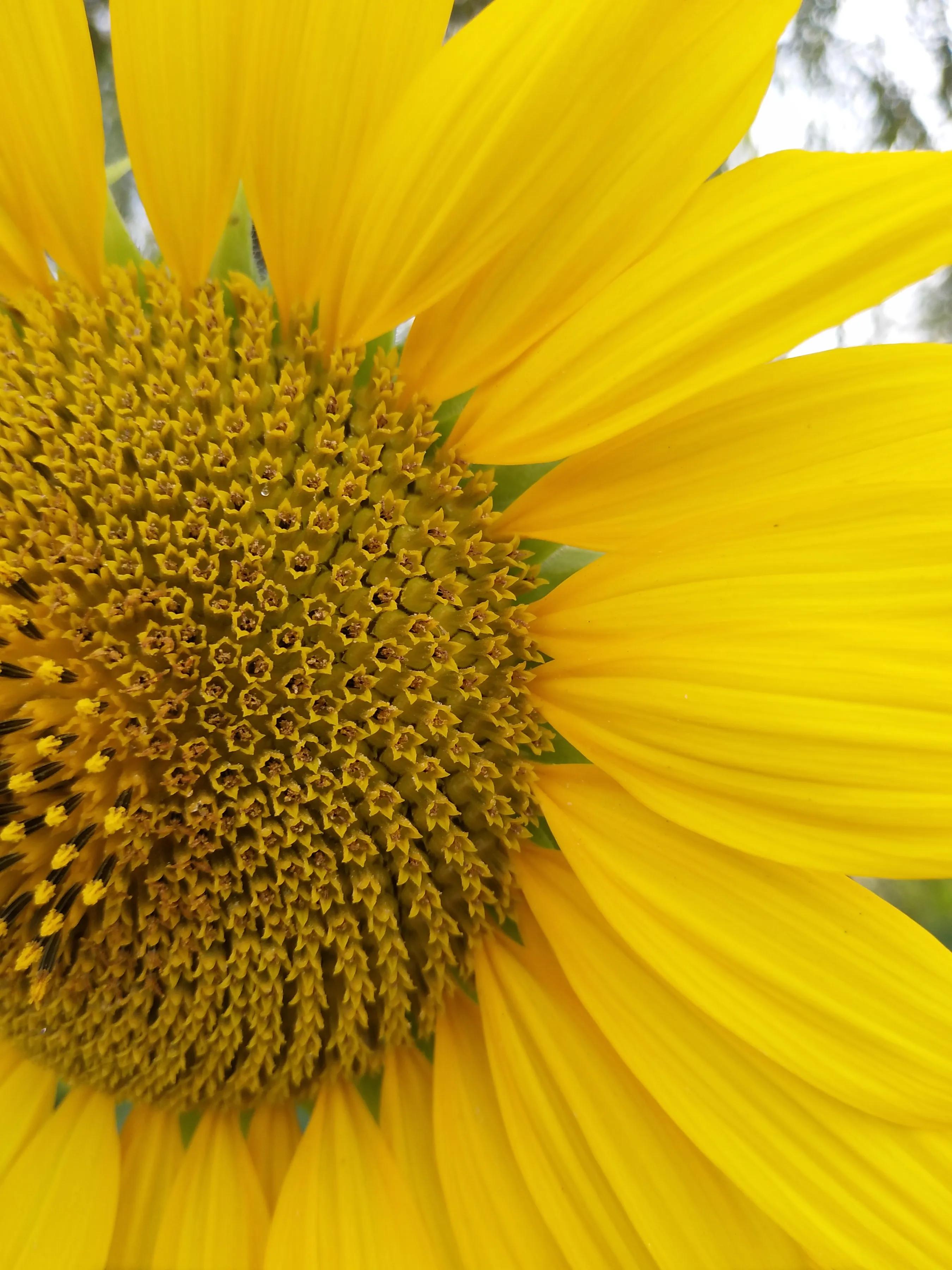 手机摄影作品集大全集,手摄世界