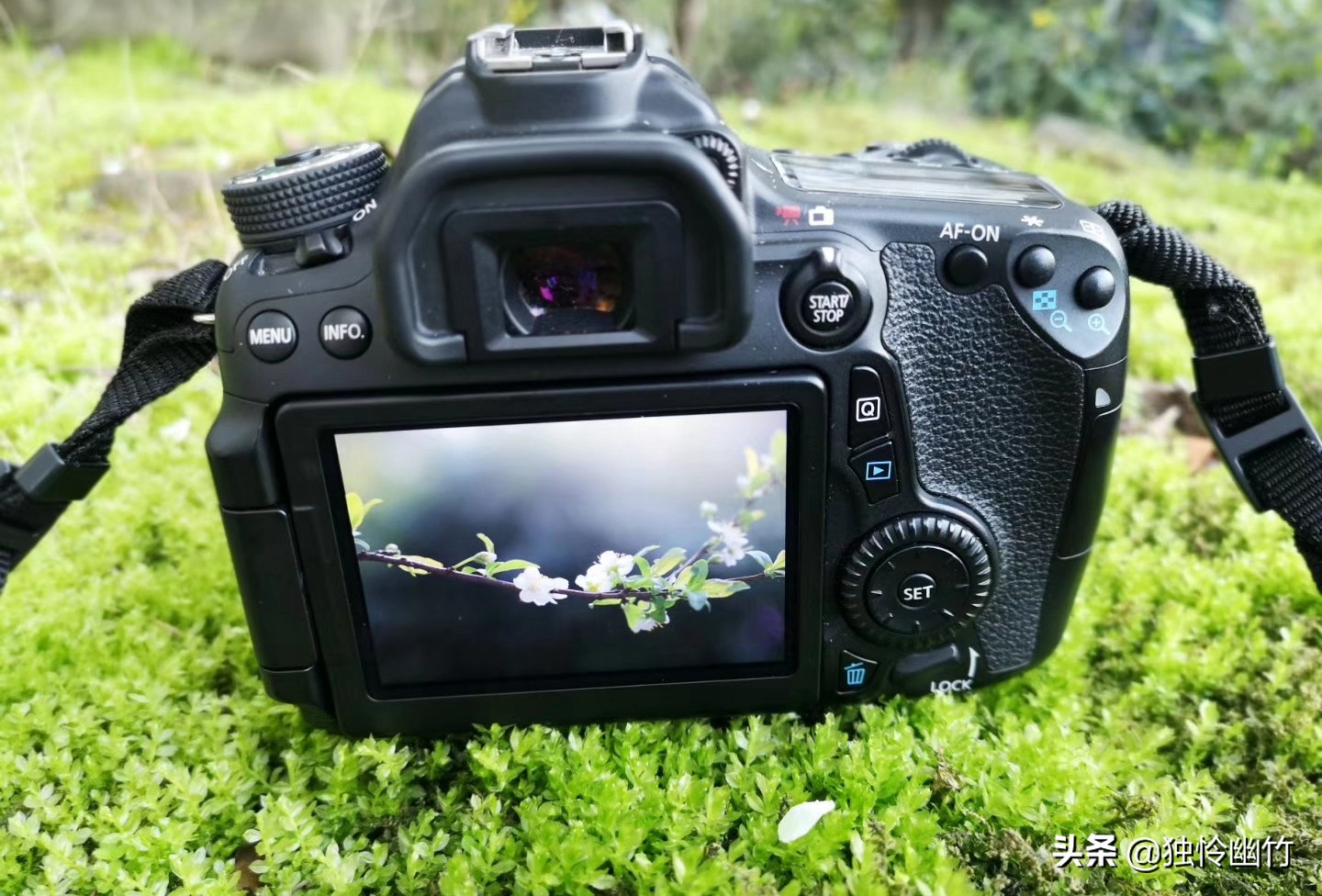 分享摄影爱好者的视频,学摄影如何少走弯路