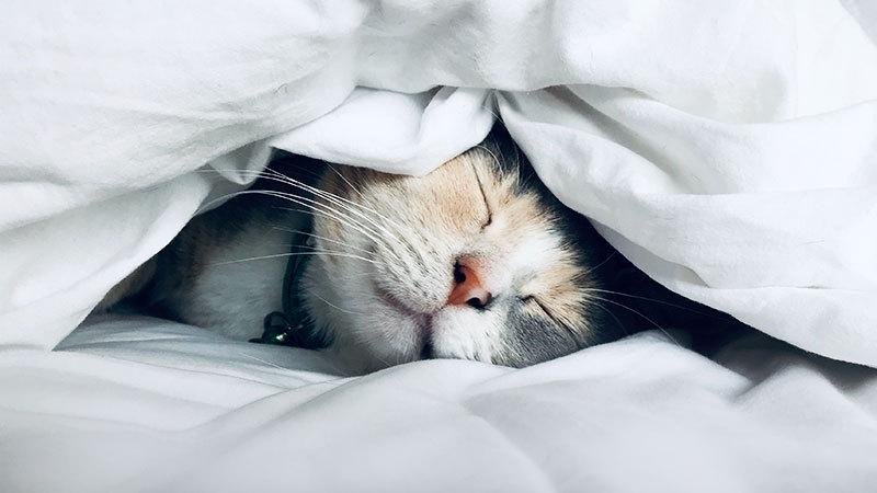 杞诲ア鏅鸿兘鐢靛姩鍔熻兘娌欏彂,8h鏅鸿兘娌欏彂璇勬祴