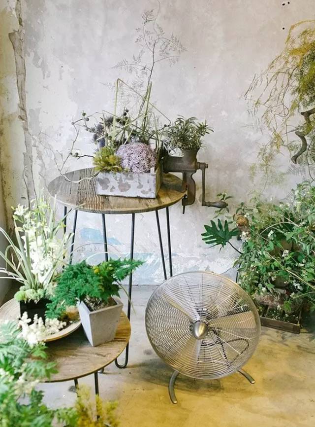 开一家有情怀赚钱的花店,全部积蓄开一家花店