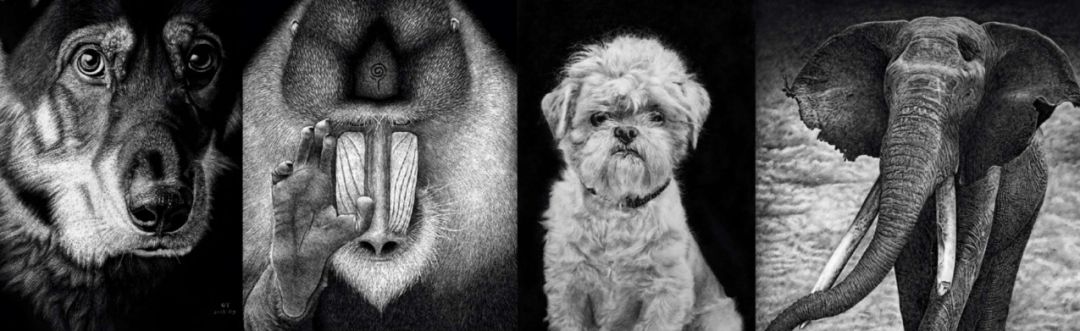 怎么用一支笔画立体画,如何用一支笔