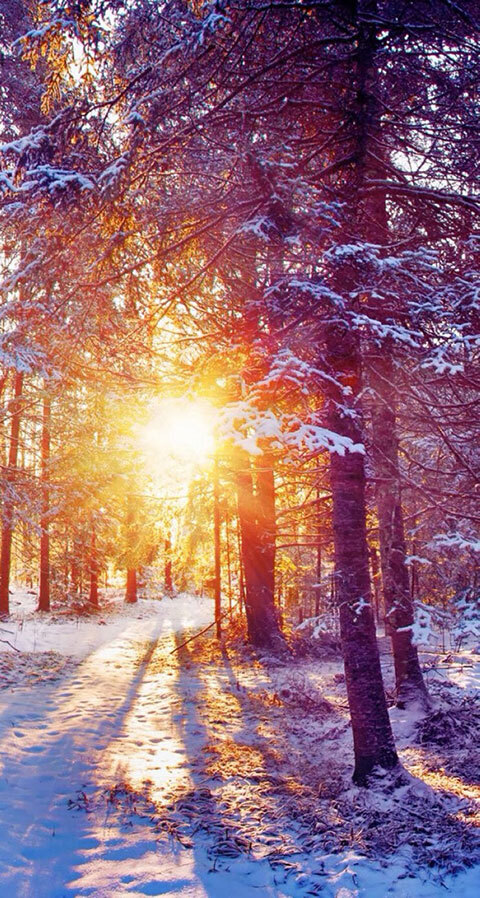 晚唐诗人10次科举不中,写首短诗愤世嫉俗,最后14字如今家喻户晓