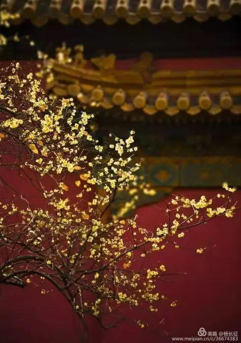 人在心不在,人在心不在演唱