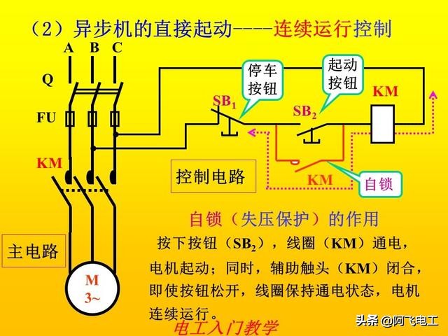 零基础电工手册电路图实物图,小豆零基础电工入门教程电路图