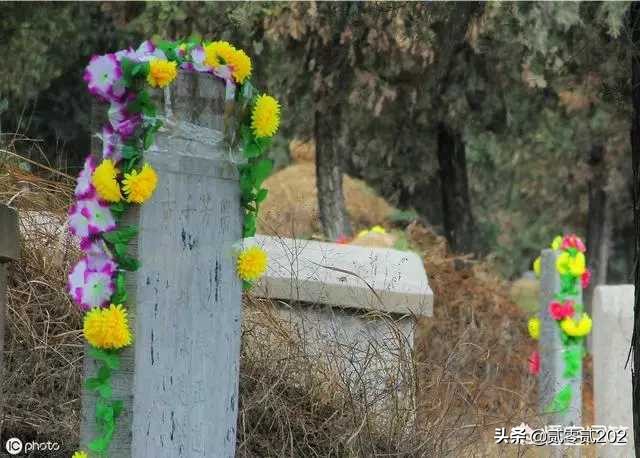 公墓多年没交钱怎么处理,公墓到期没有家人续费会怎样处理