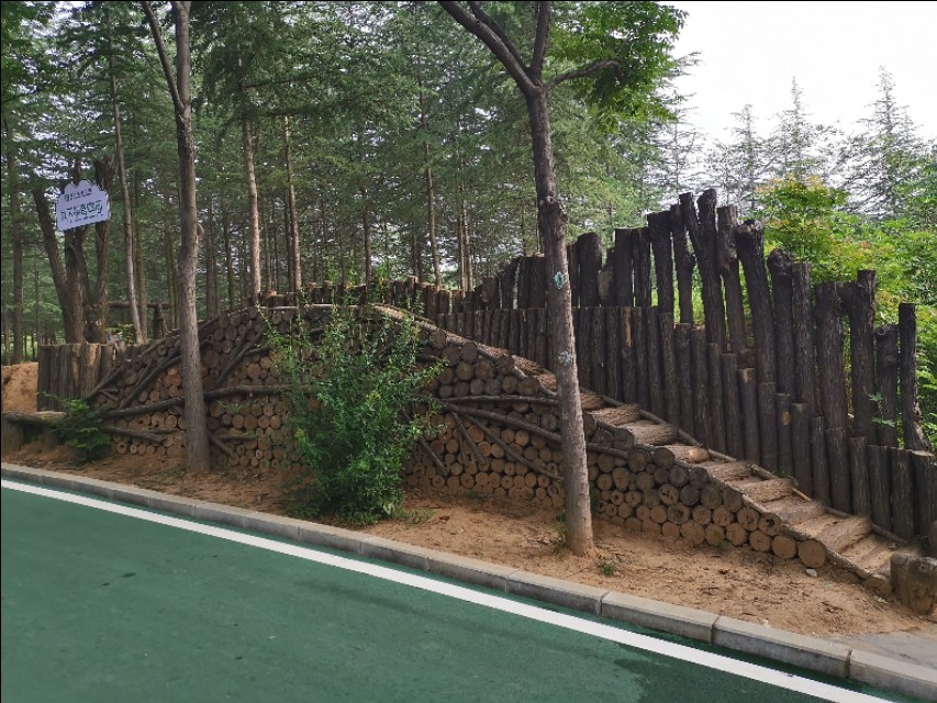 周山森林体育公园,周山公园都有什么运动