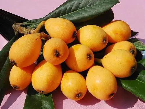 城厢区常太镇首届“壶兰耕读·云上枇杷文化节”暨第22届枇杷节来啦！快来“嗨枇”吧~