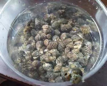 渔民海鲜大全,渔民整理的海鲜河鲜大全