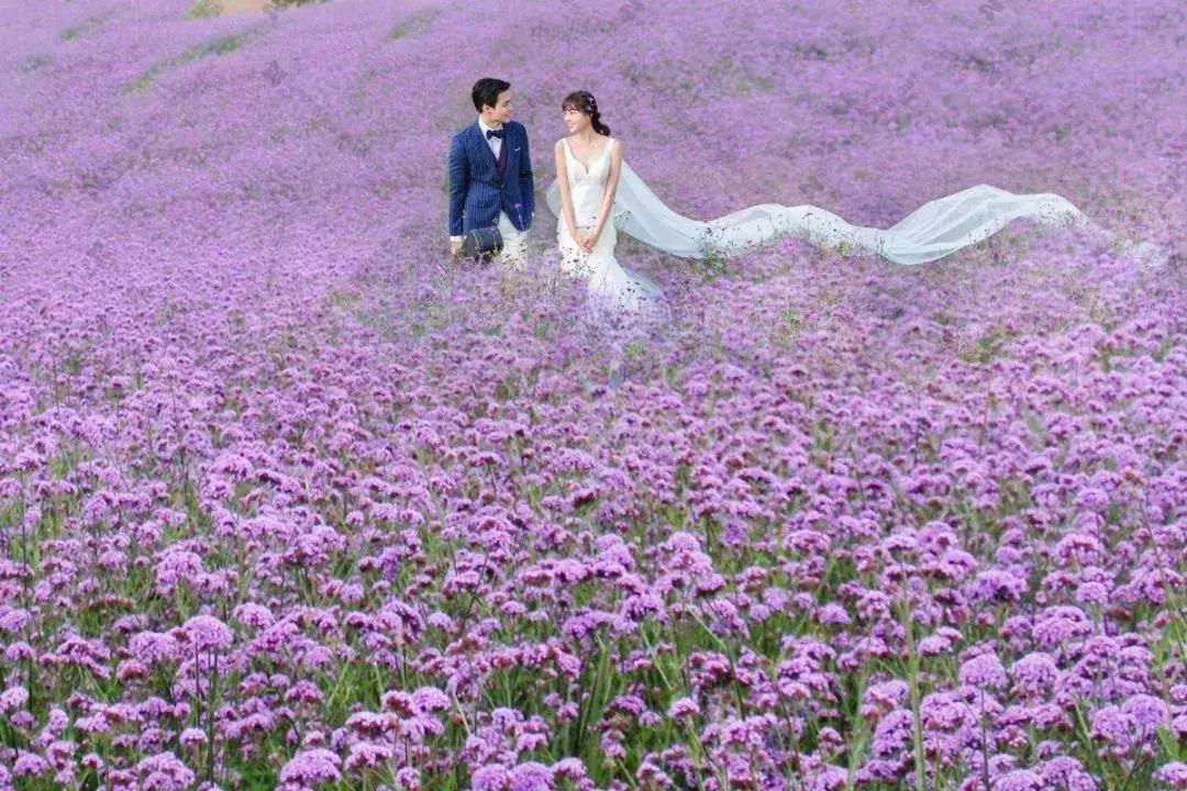 *京大南**塘金湖光山色一座真正地湖景别墅,静下来感受美好诗意生活