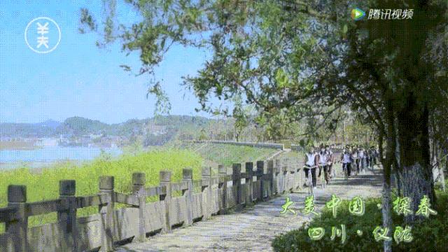 仪陇春天美景,仪陇县夜景震撼上央视