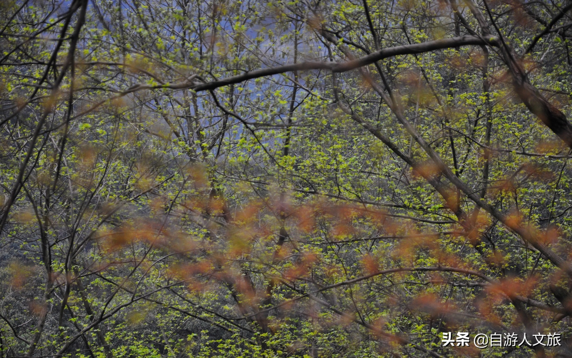 环西湖群山徒步毅行,行走西湖古诗词