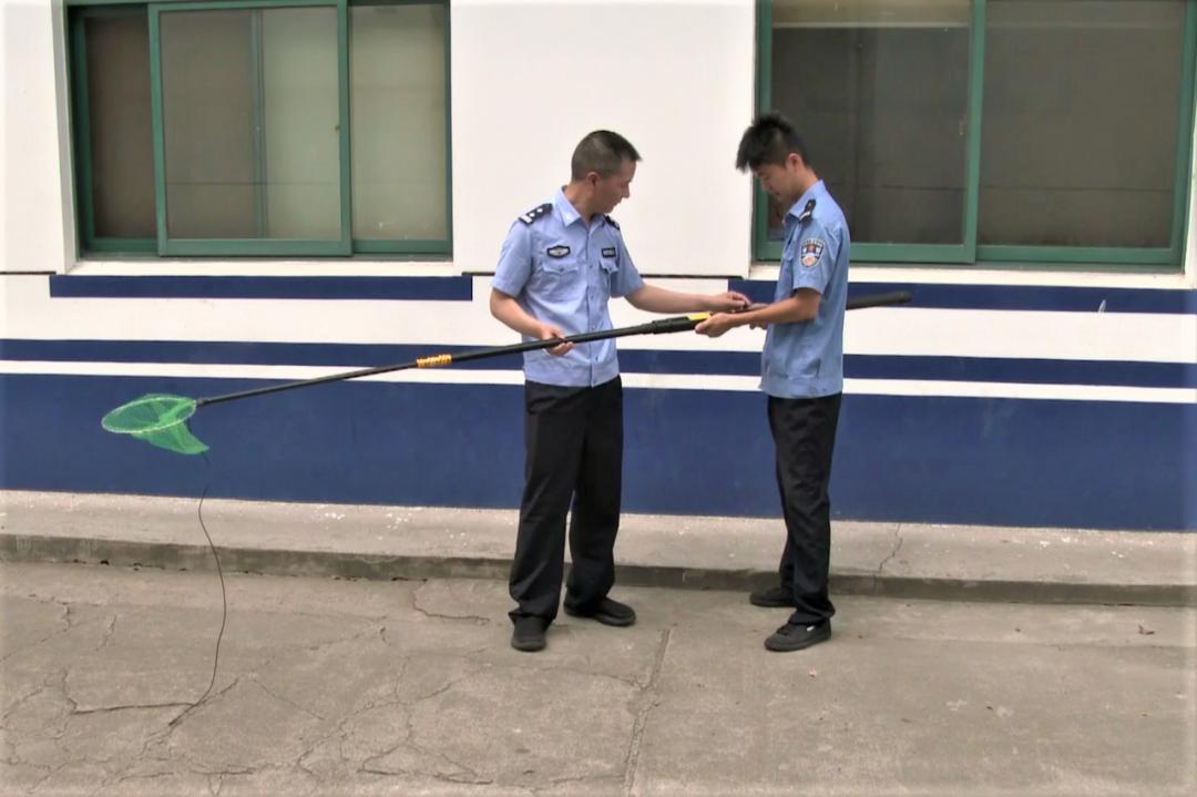 一根电捕鱼竿，牵出一个产销窝点