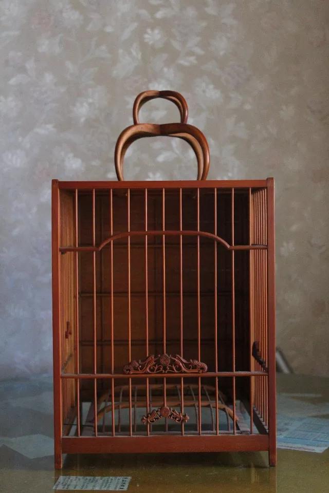 上海画眉鸟斗鸟,上海历年来的画眉鸟斗鸟图片