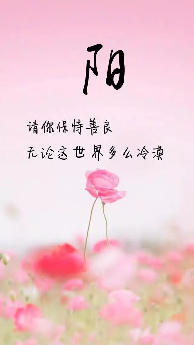 珠宝翡翠艺术字体,翡翠字体图片欣赏