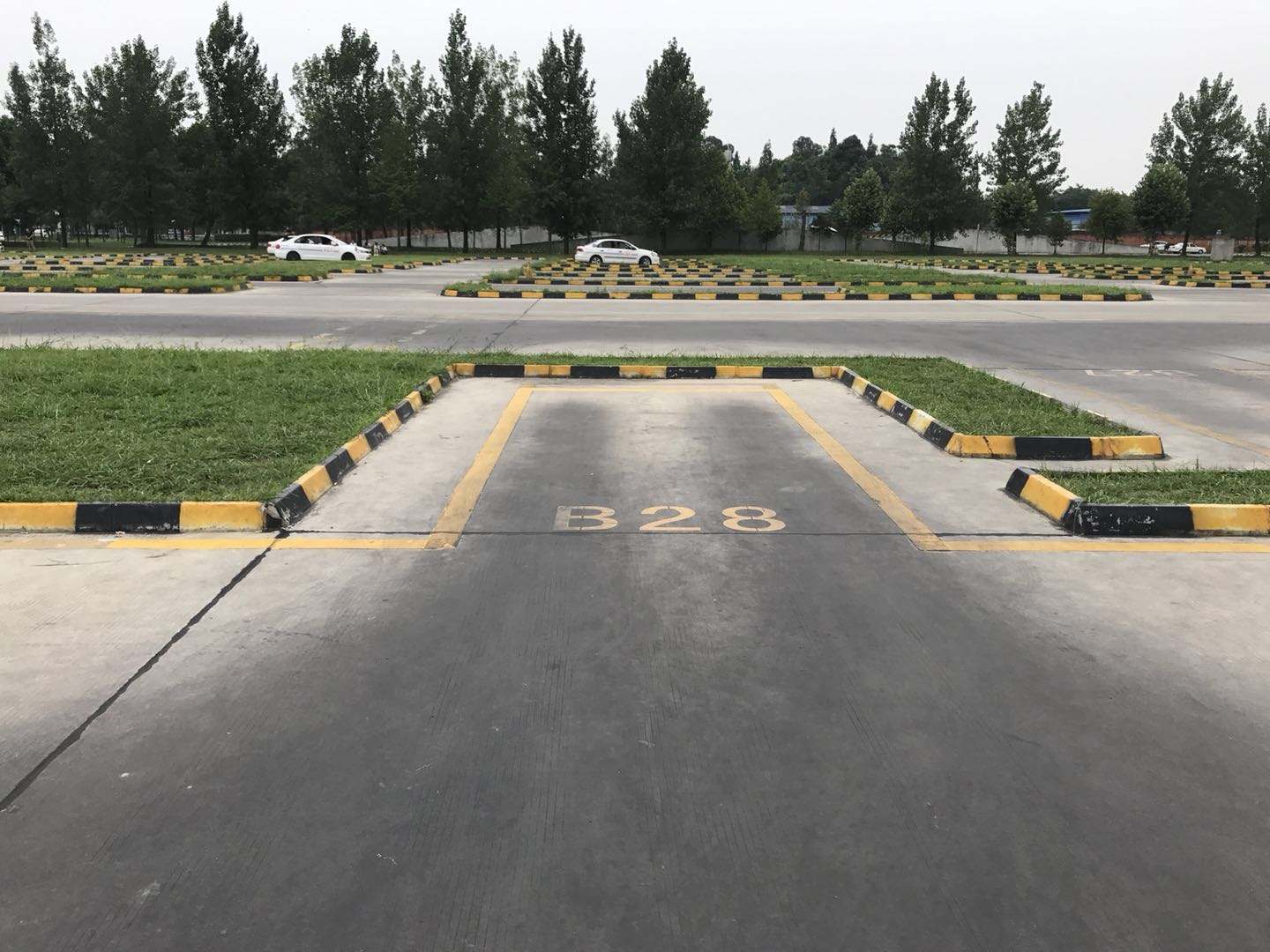 新手买新车不会开怎么办,新手买车不敢试驾新车