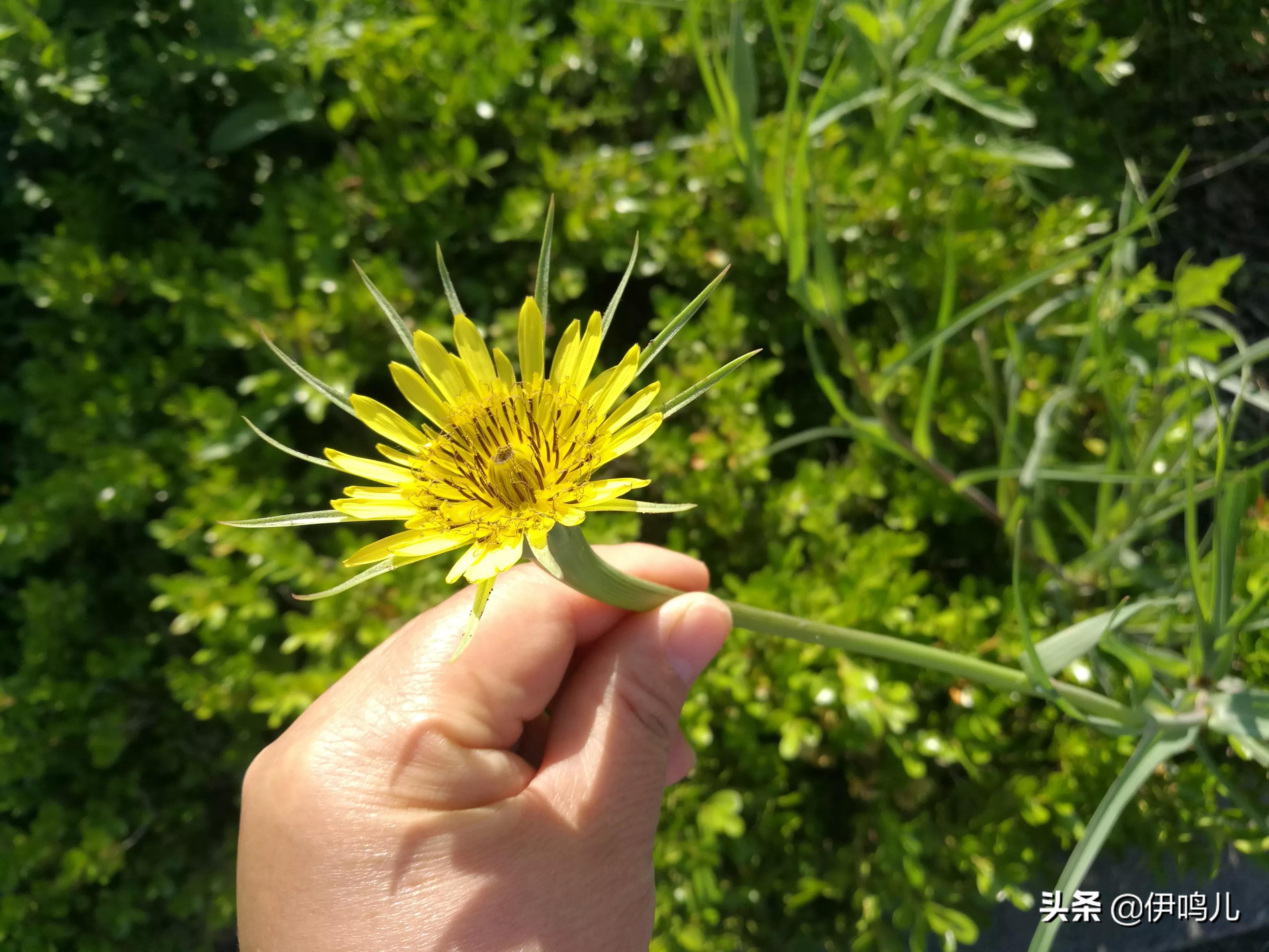 今天是个好日子广场舞完整版,今天是个好日子