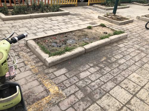 市容市貌大提升|检查组8天内3次暗访,郑东新区白沙镇部分主干道脏乱差