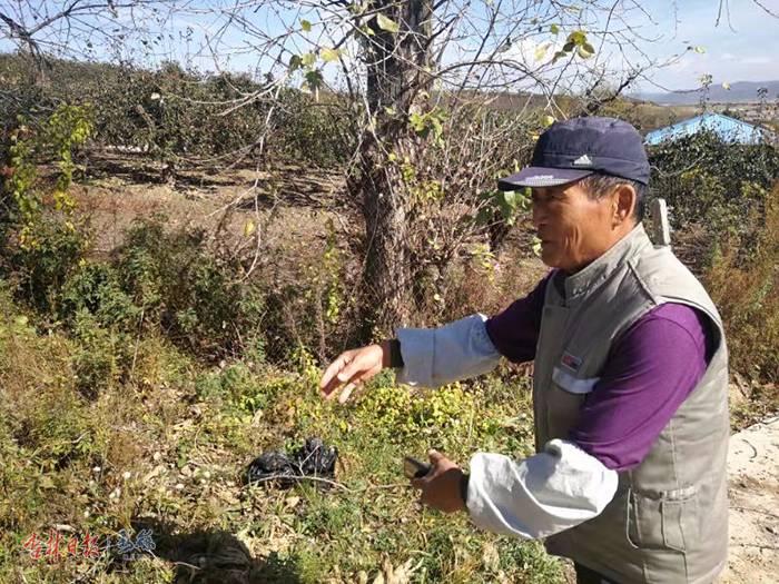 老井村的故事视频,听农村老人讲亲身经历