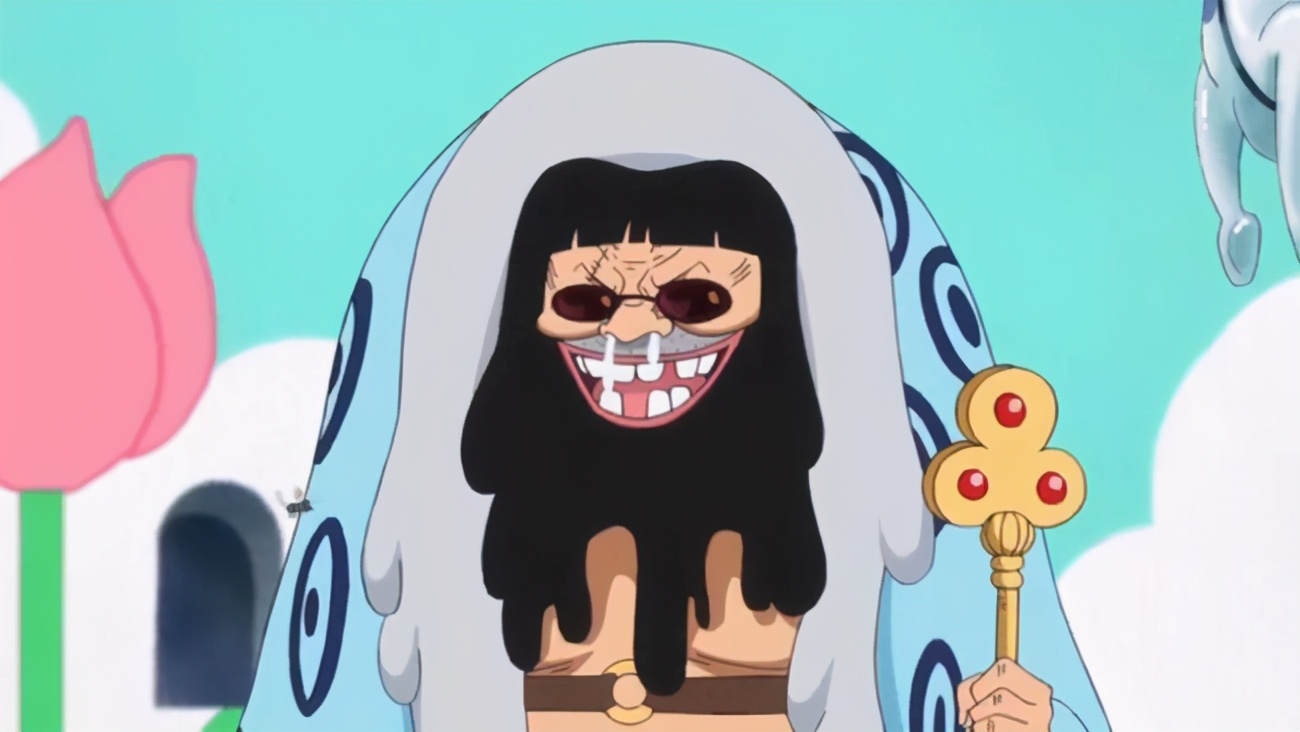 海贼王十大最鸡肋恶魔果实,海贼王吃了恶魔果实的动物