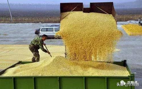 速看，贸易商的钱是怎么亏得！