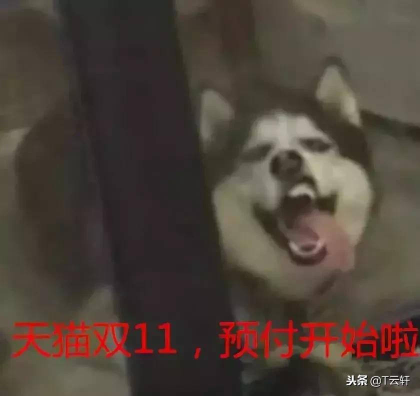 双十一破100亿京东2019,100分钟破千亿的纪录