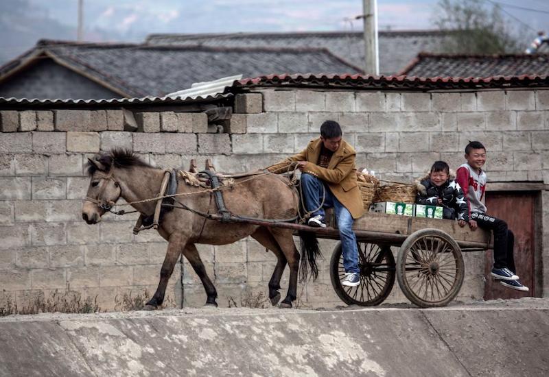 农村俗语,“车船店脚牙,无罪也该杀”,是一颗老鼠屎坏了一锅粥