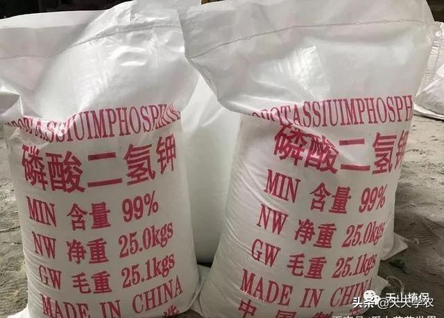 买了不正规的磷酸二氢钾能用吗,怎样分清磷酸二氢钾是真是假