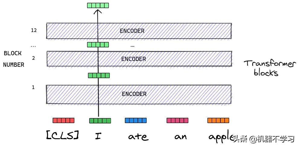 bert相关论文,bert论文创新点