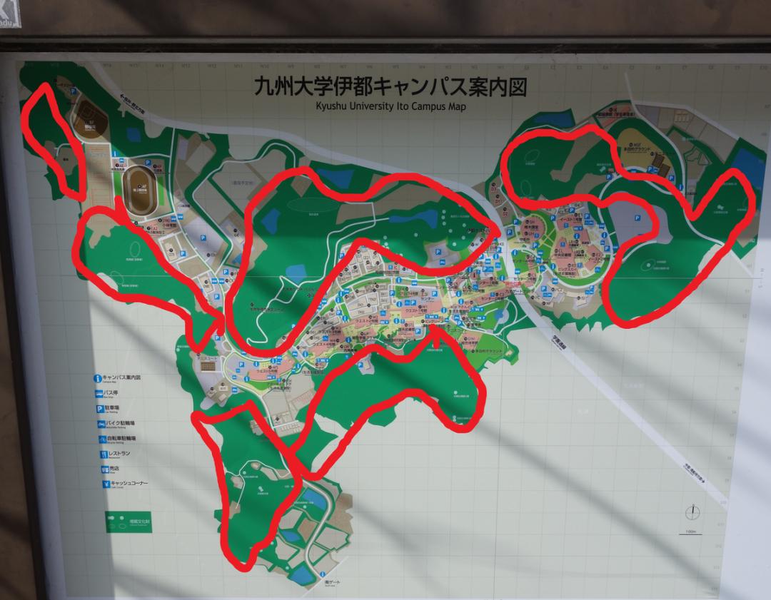 日本九州大学和福冈大学,日本九州大学与西南大学