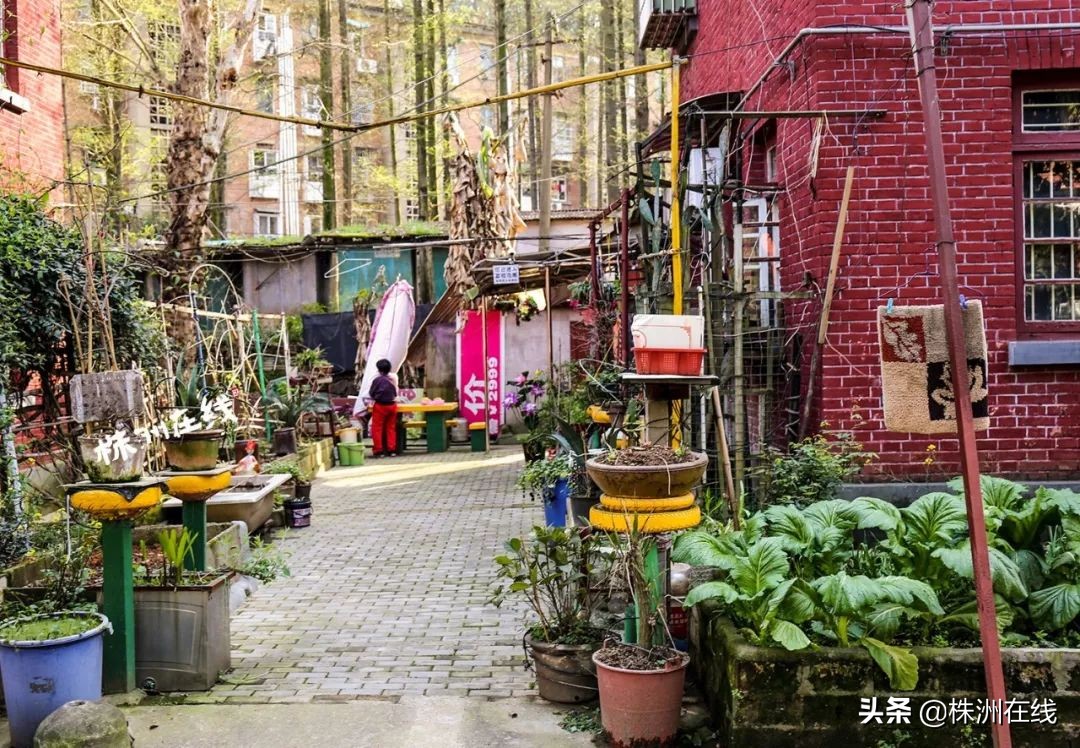 331国道临江往上下一站是什么地方,331国道绥芬河下一站到哪