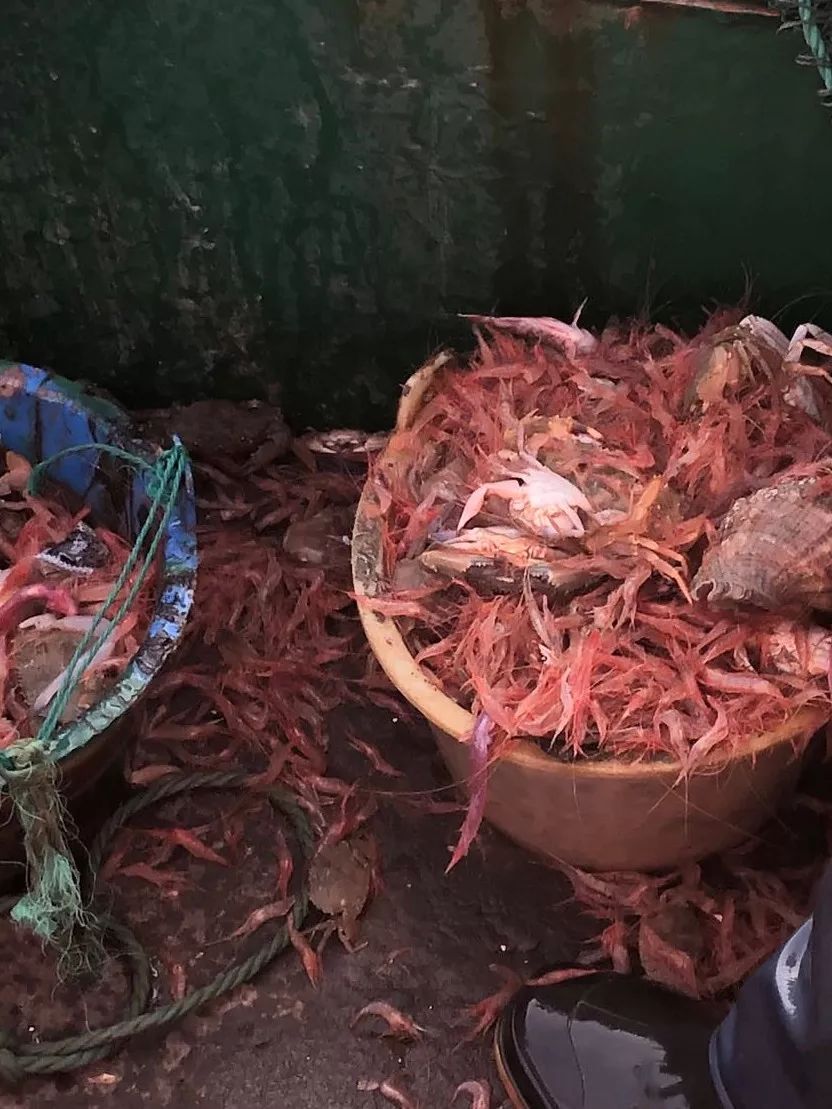 浙江超美的小众海岛,浙江最适合打卡的小众海岛