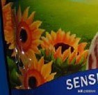 深扒国内假货，这样的黑猫粮还要肩比进口货，转发给你身边的朋友