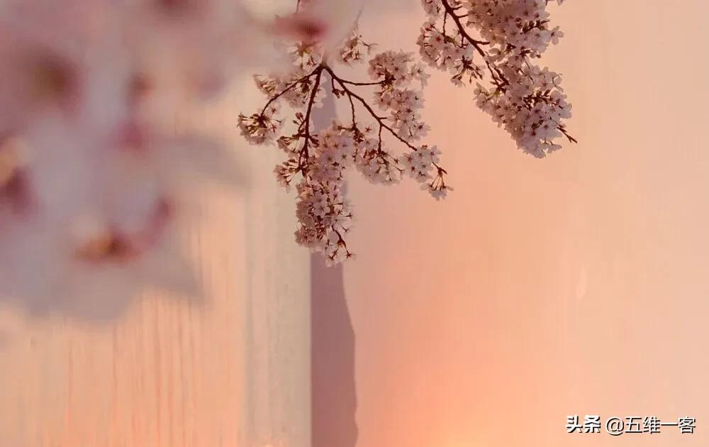 约会指南怎么约,约会指南牵手技巧