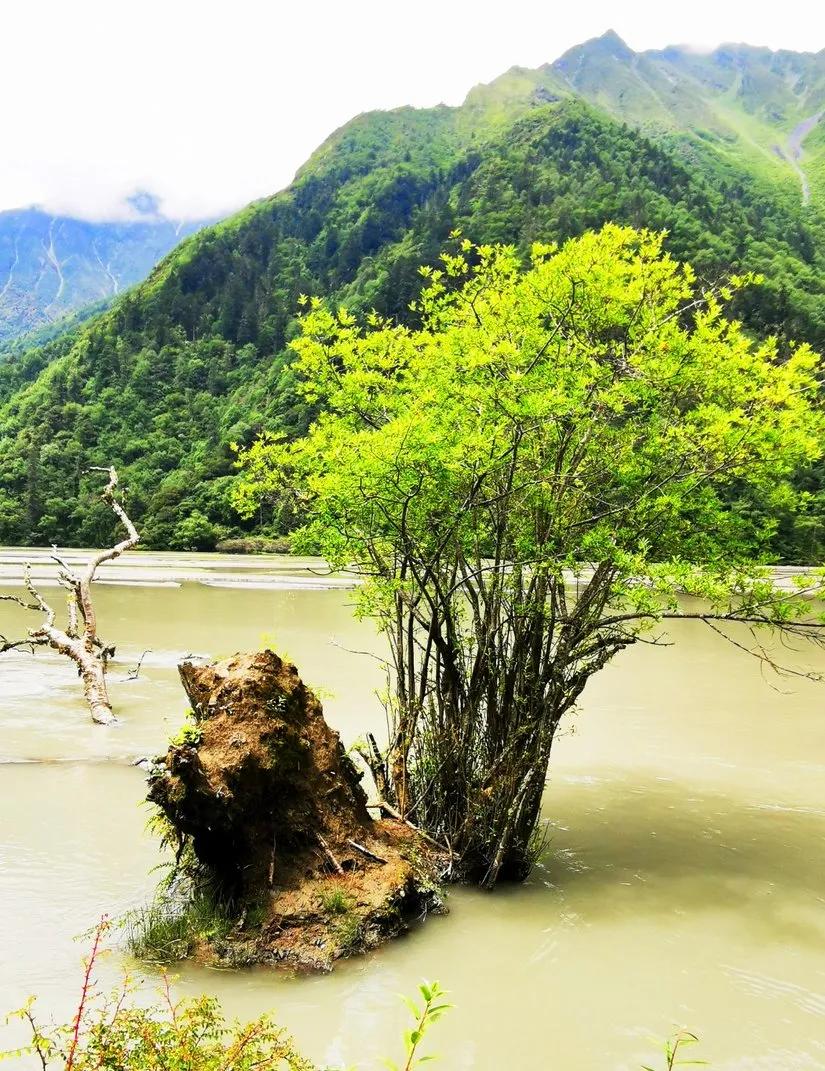 贡嘎山的徒步,贡嘎雪山大环线徒步游记