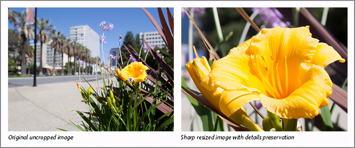 adobephotoshop7.0压缩图片大小,adobephotoshop图像变大