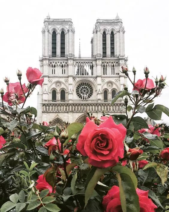 巴黎圣母院被烧毁的文物,巴黎圣母院被烧掉