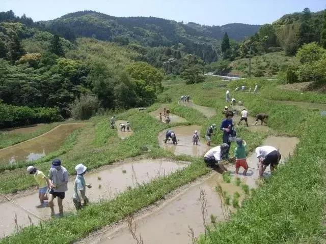 无印良品做事,无印良品和农场