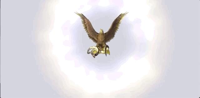 世界十大神奇动物,十大神奇动物园