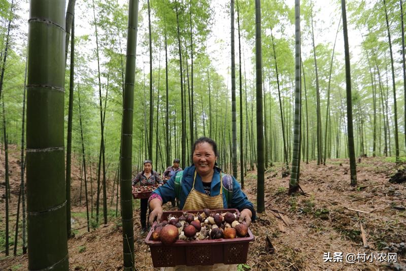 做杂粮煎饼生意一年能挣多少钱,怎么创业做煎饼店铺赚钱