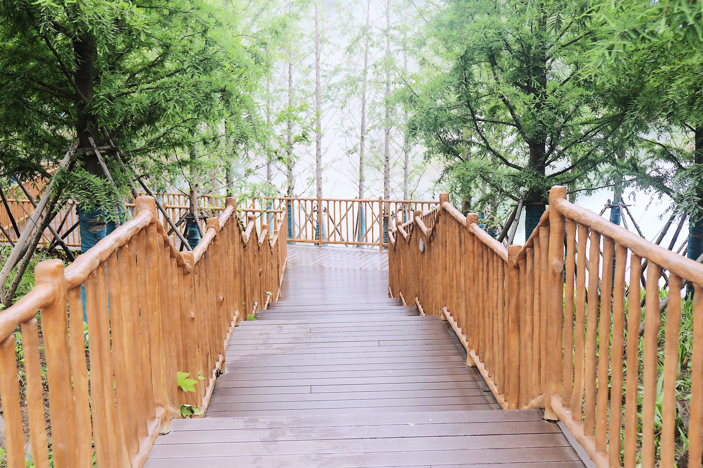 苏州乐园森林水世界几月份开始,乐园森林世界手游攻略