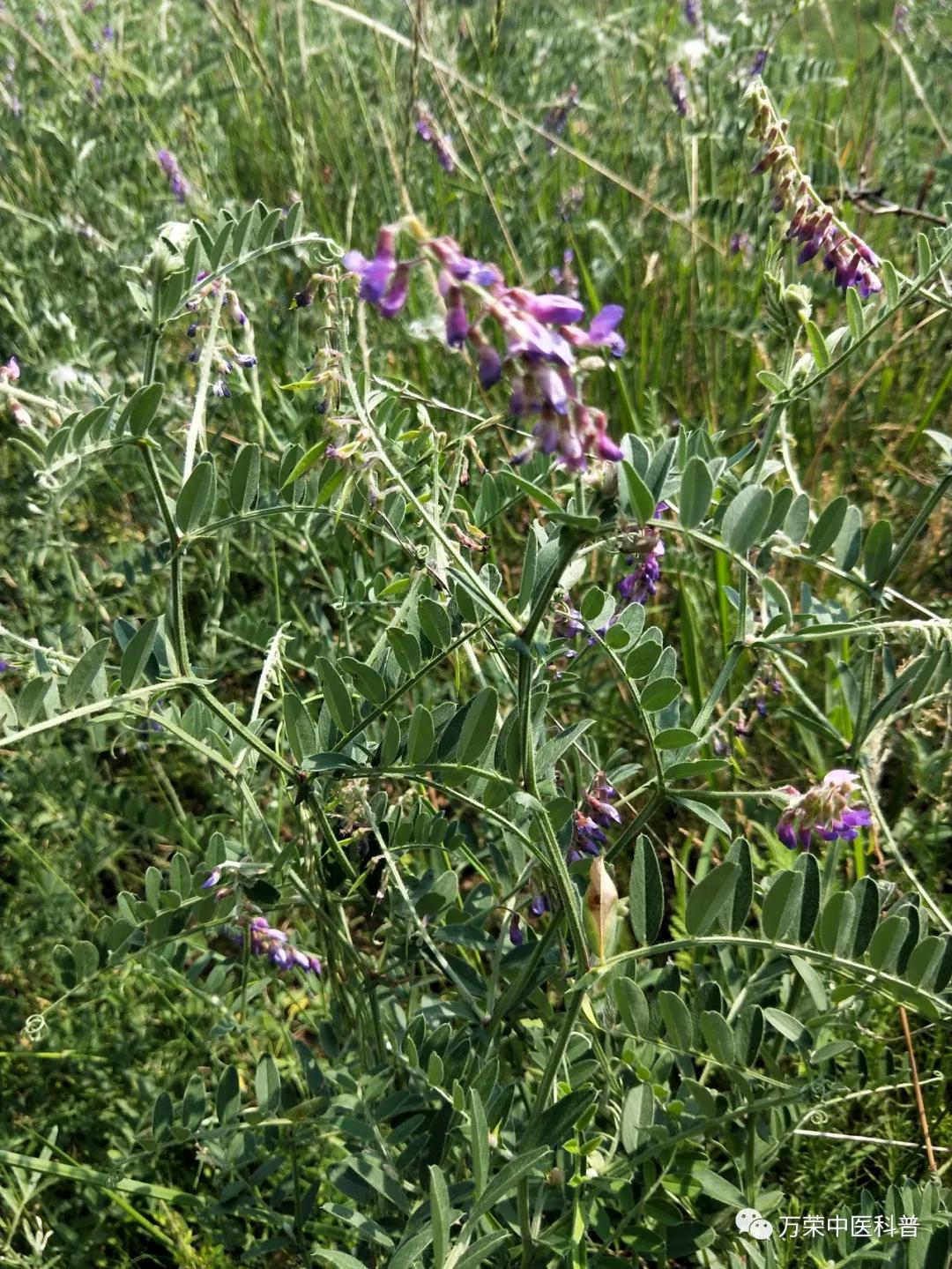 跟我回家在线免费看,跟我回家免费看