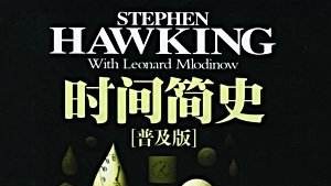 tp-link的发展史,tp-link发展前景