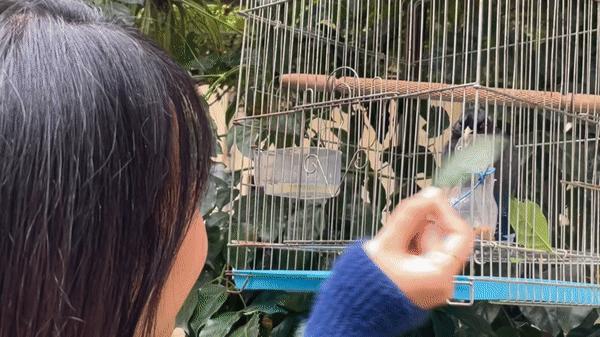 日不落餐厅,日不落餐厅襄阳