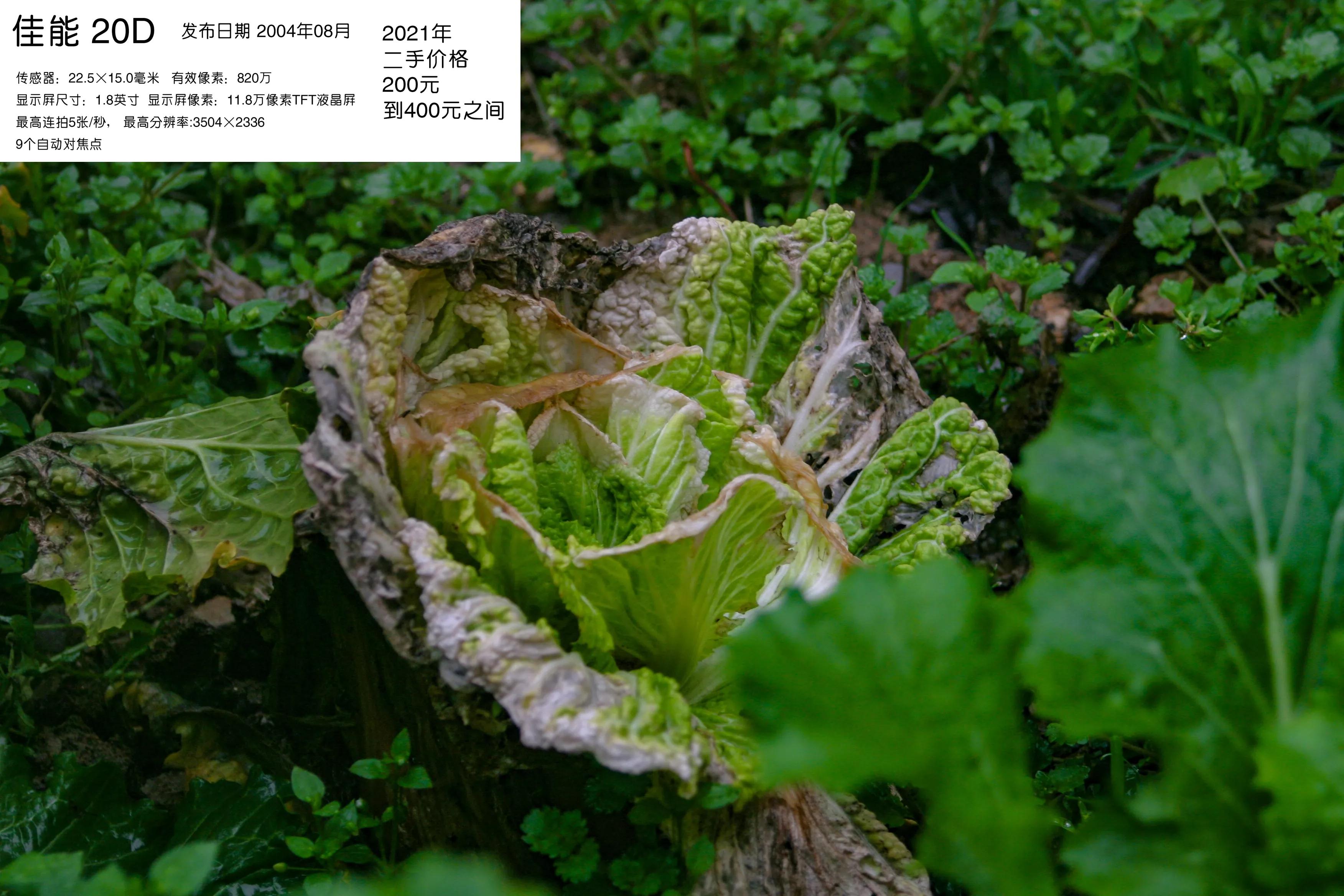 去学摄影花费2w到底值不值得,想学摄影不知道从哪里入手